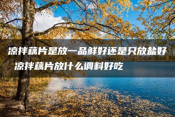 凉拌藕片是放一品鲜好还是只放盐好 凉拌藕片放什么调料好吃