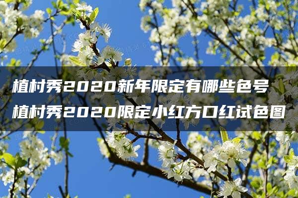 植村秀2020新年限定有哪些色号 植村秀2020限定小红方口红试色图