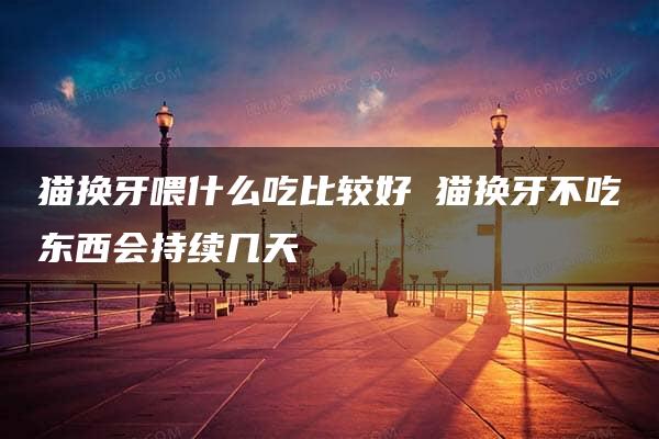 猫换牙喂什么吃比较好 猫换牙不吃东西会持续几天