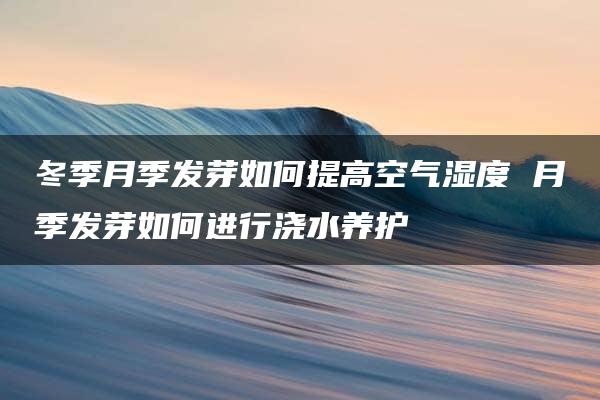 冬季月季发芽如何提高空气湿度 月季发芽如何进行浇水养护