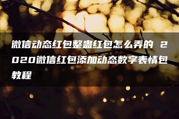 微信动态红包整蛊红包怎么弄的 2020微信红包添加动态数字表情包教程