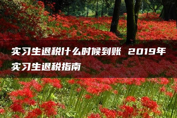 实习生退税什么时候到账 2019年实习生退税指南