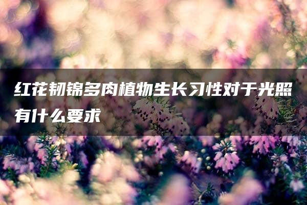 红花韧锦多肉植物生长习性对于光照有什么要求