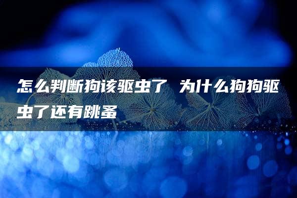 怎么判断狗该驱虫了 为什么狗狗驱虫了还有跳蚤