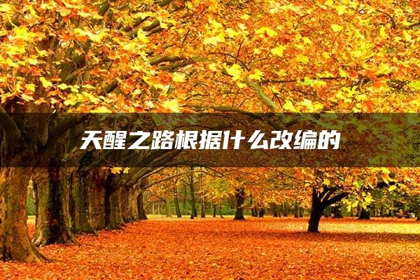 天醒之路根据什么改编的