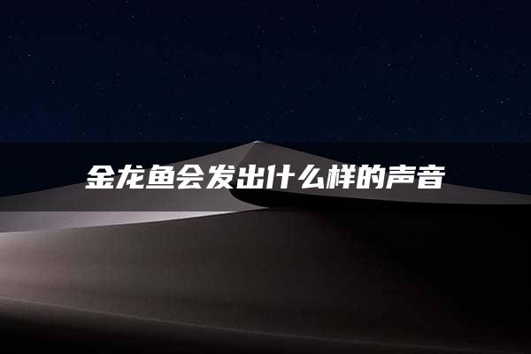 金龙鱼会发出什么样的声音