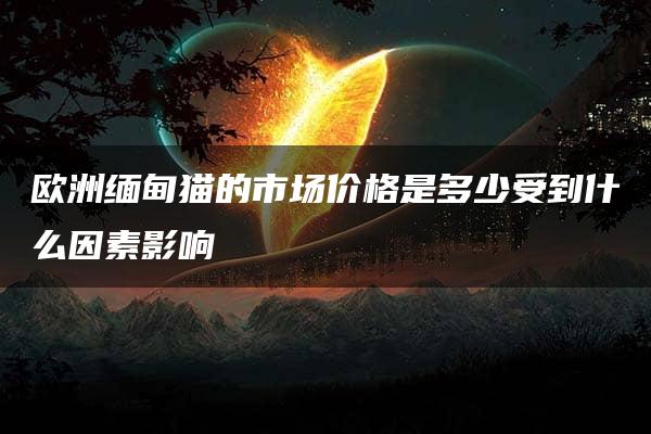 欧洲缅甸猫的市场价格是多少受到什么因素影响