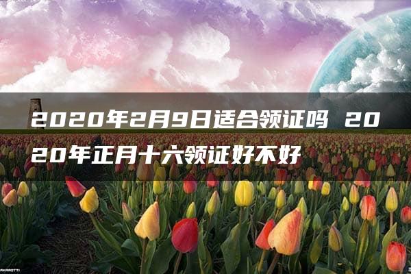 2020年2月9日适合领证吗 2020年正月十六领证好不好