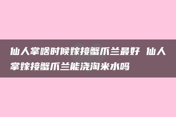 仙人掌啥时候嫁接蟹爪兰最好 仙人掌嫁接蟹爪兰能浇淘米水吗