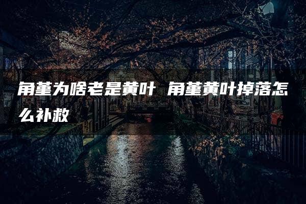 角堇为啥老是黄叶 角堇黄叶掉落怎么补救