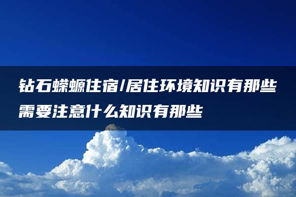 钻石蝾螈住宿/居住环境知识有那些需要注意什么知识有那些