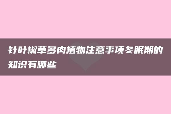 针叶椒草多肉植物注意事项冬眠期的知识有哪些