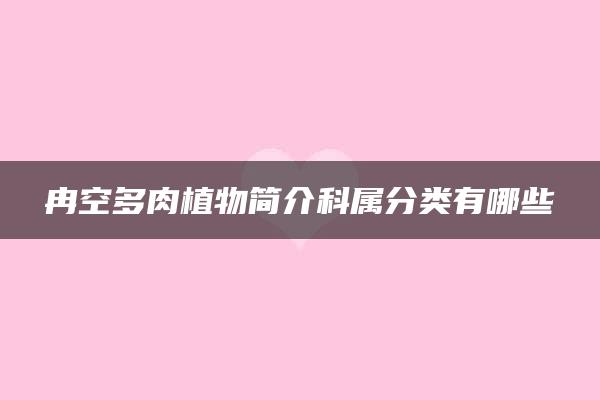 冉空多肉植物简介科属分类有哪些