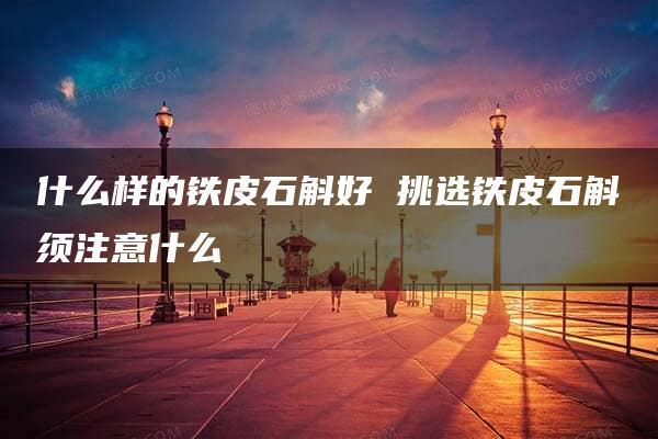 什么样的铁皮石斛好 挑选铁皮石斛须注意什么