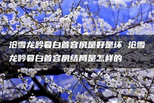 沧雪龙吟暮白首容夙是好是坏 沧雪龙吟暮白首容夙结局是怎样的