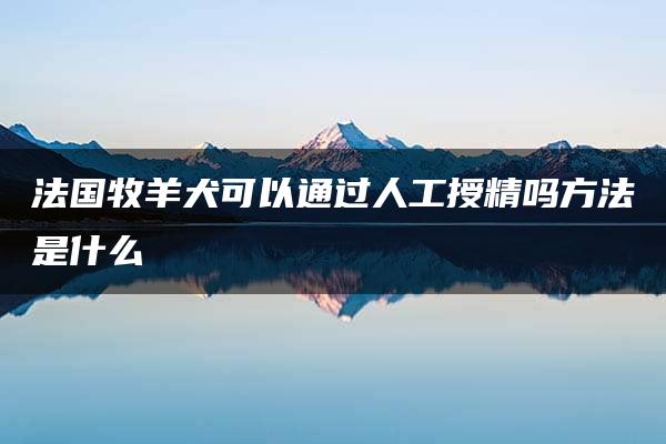 法国牧羊犬可以通过人工授精吗方法是什么