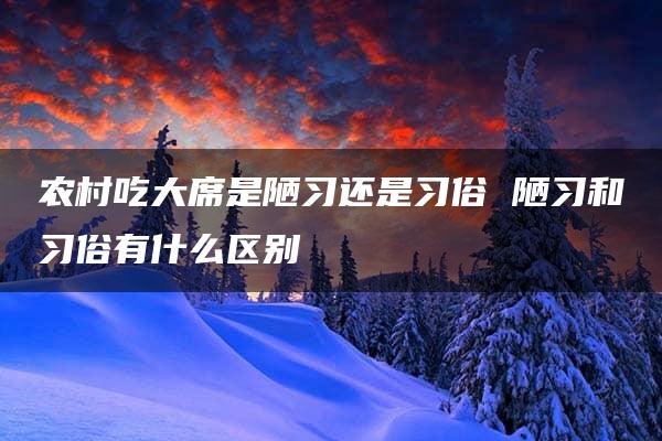 农村吃大席是陋习还是习俗 陋习和习俗有什么区别