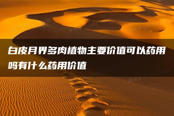 白皮月界多肉植物主要价值可以药用吗有什么药用价值