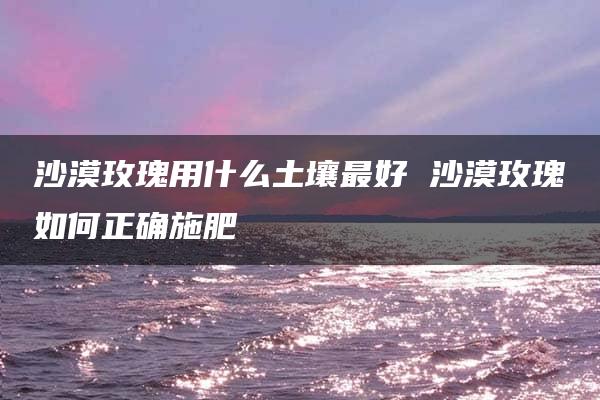 沙漠玫瑰用什么土壤最好 沙漠玫瑰如何正确施肥