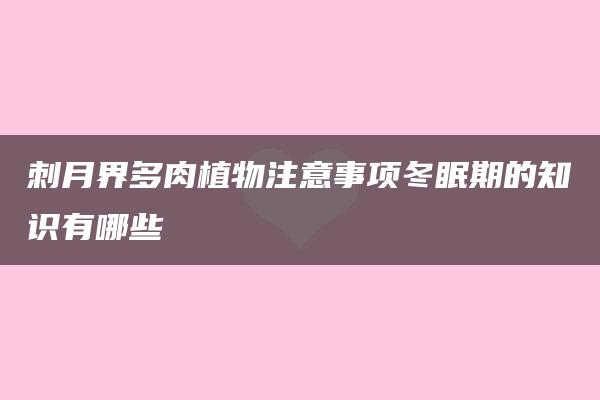 刺月界多肉植物注意事项冬眠期的知识有哪些