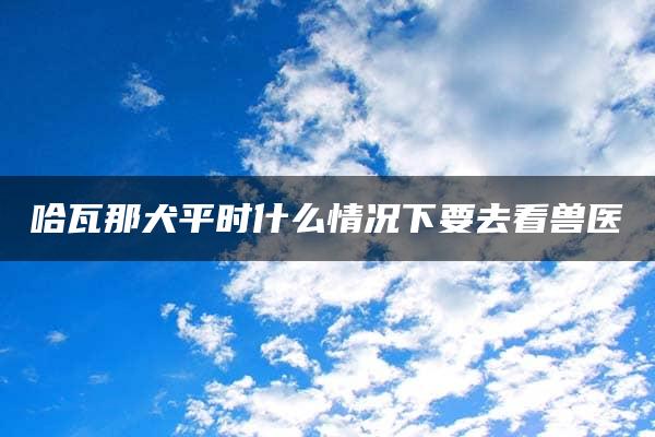 哈瓦那犬平时什么情况下要去看兽医