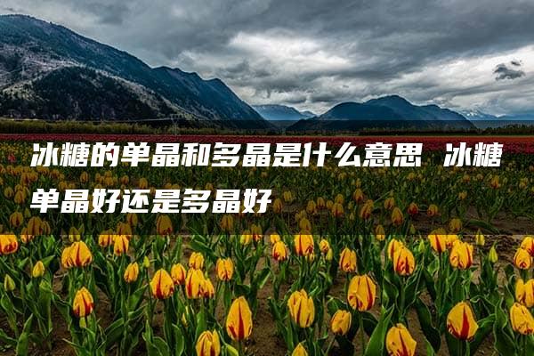 冰糖的单晶和多晶是什么意思 冰糖单晶好还是多晶好