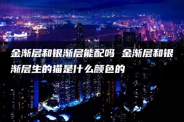 金渐层和银渐层能配吗 金渐层和银渐层生的猫是什么颜色的