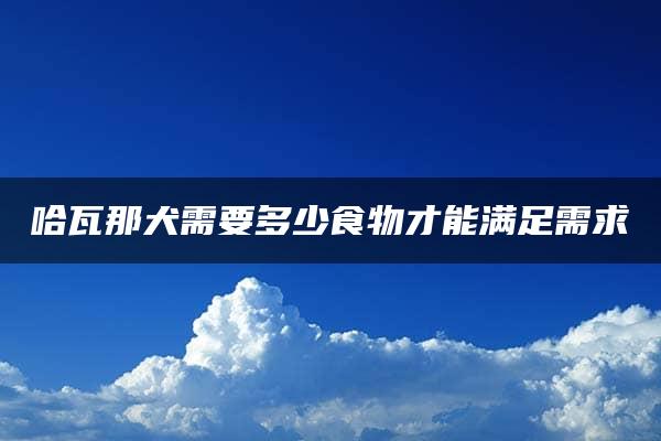 哈瓦那犬需要多少食物才能满足需求