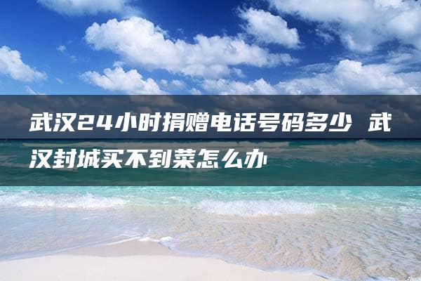 武汉24小时捐赠电话号码多少 武汉封城买不到菜怎么办