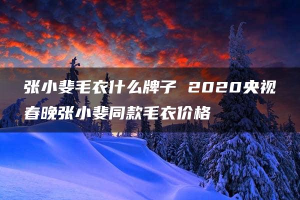 张小斐毛衣什么牌子 2020央视春晚张小斐同款毛衣价格