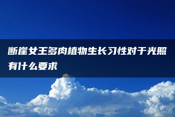 断崖女王多肉植物生长习性对于光照有什么要求