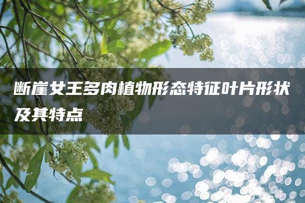 断崖女王多肉植物形态特征叶片形状及其特点