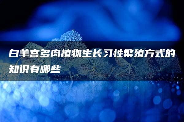 白羊宫多肉植物生长习性繁殖方式的知识有哪些