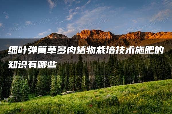 细叶弹簧草多肉植物栽培技术施肥的知识有哪些