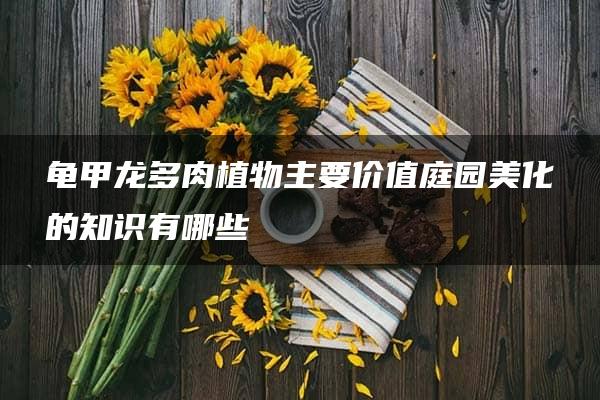 龟甲龙多肉植物主要价值庭园美化的知识有哪些