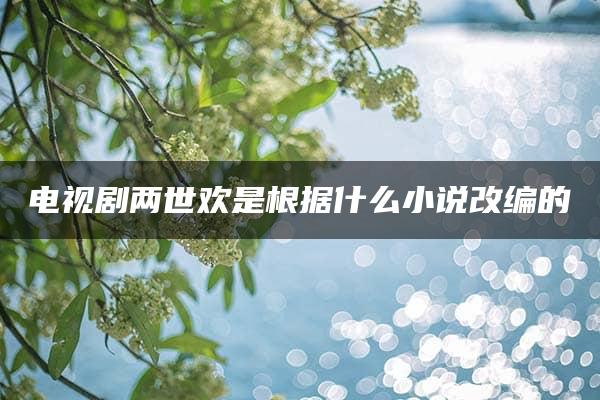 电视剧两世欢是根据什么小说改编的