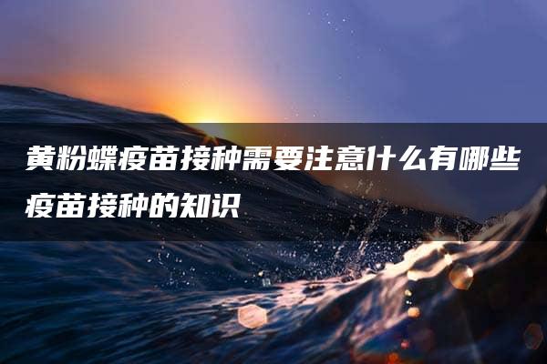 黄粉蝶疫苗接种需要注意什么有哪些疫苗接种的知识