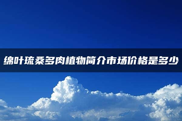 绵叶琉桑多肉植物简介市场价格是多少