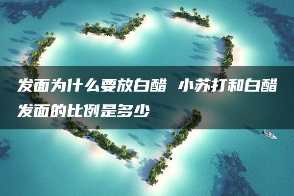 发面为什么要放白醋 小苏打和白醋发面的比例是多少