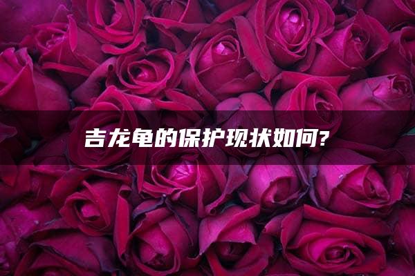 吉龙龟的保护现状如何?