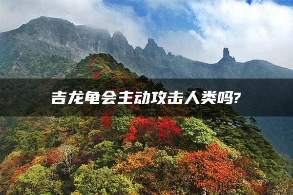 吉龙龟会主动攻击人类吗?