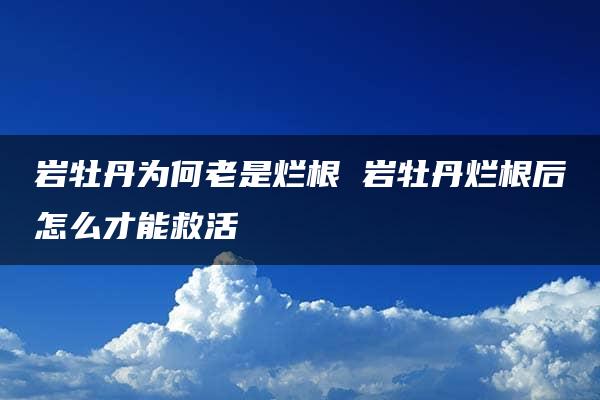 岩牡丹为何老是烂根 岩牡丹烂根后怎么才能救活