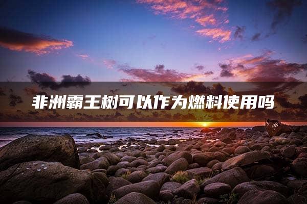 非洲霸王树可以作为燃料使用吗