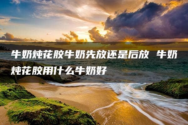 牛奶炖花胶牛奶先放还是后放 牛奶炖花胶用什么牛奶好