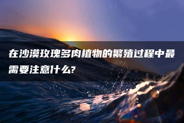 在沙漠玫瑰多肉植物的繁殖过程中最需要注意什么?