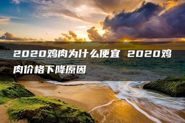 2020鸡肉为什么便宜 2020鸡肉价格下降原因