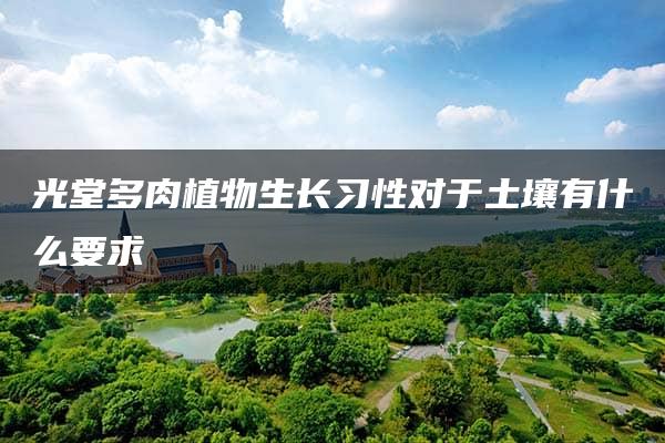 光堂多肉植物生长习性对于土壤有什么要求