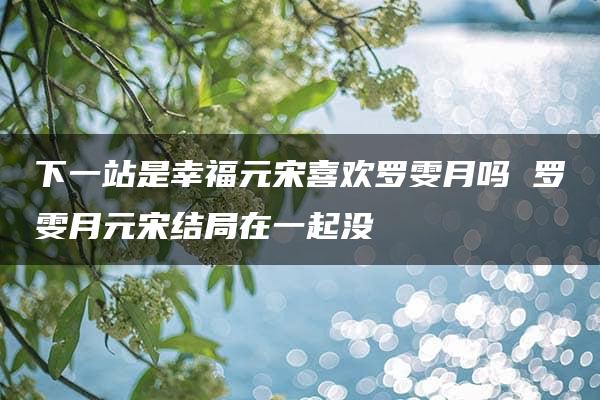 下一站是幸福元宋喜欢罗雯月吗 罗雯月元宋结局在一起没