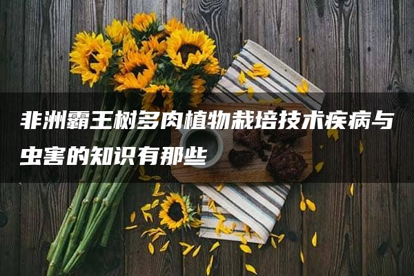 非洲霸王树多肉植物栽培技术疾病与虫害的知识有那些