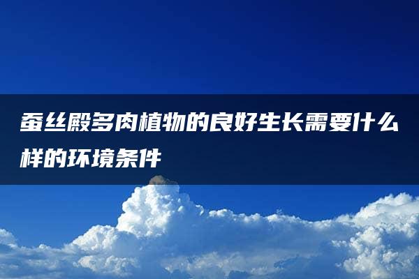 蚕丝殿多肉植物的良好生长需要什么样的环境条件